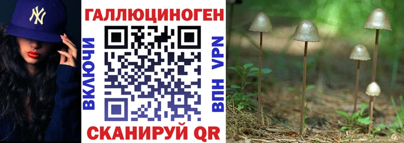 Галлюциногенные грибы GOLDEN TEACHER  где найти наркотики  Самара 